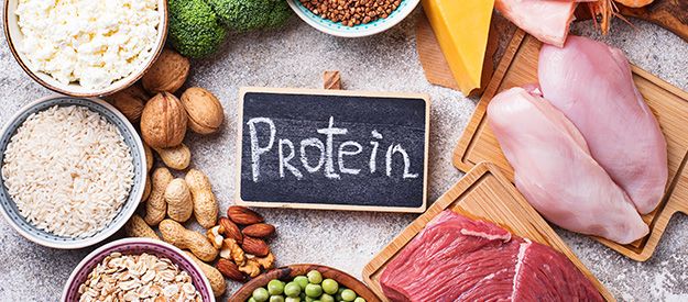 Proteine: la costruzione della massa muscolare