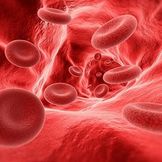 Products Related to Blood Health