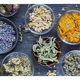 Zioła & roślinne wyjątkowe produkty wspierające zdrowie i ducha