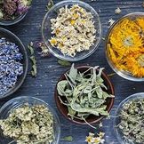 Zioła & roślinne wyjątkowe produkty wspierające zdrowie i ducha