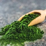 Microalgae Products