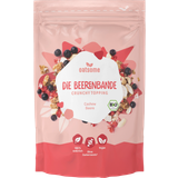 oatsome Crunchy Topping - "Bio Die Beerenbande"