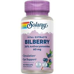 Solaray Bilberry Extract - 60 veg. capsules