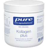 pure encapsulations Kolagen plus