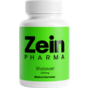 ZeinPharma Shatavari Extract 500 mg - 90 capsules