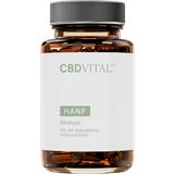 CBD VITAL Hemp Immune