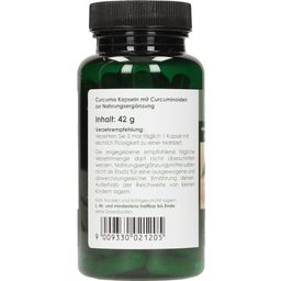 Hawlik Curcuma-Extract Capsules - 90 capsules
