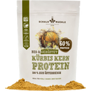 Organic Roasted Pumpkin Seed Protein Powder