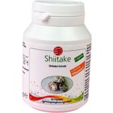 SanaCare Organic Shiitake Extract