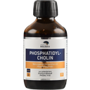 American Biologics Phosphatidylcholin - 150 ml