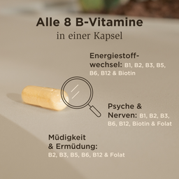 Vitamin B-Komplex mit Cholin und Inositol - 50 Kapseln