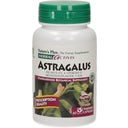 Astragalus - Tragant, 60 veg. capsules