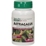 Herbal aktiv Astragalus - Tragant