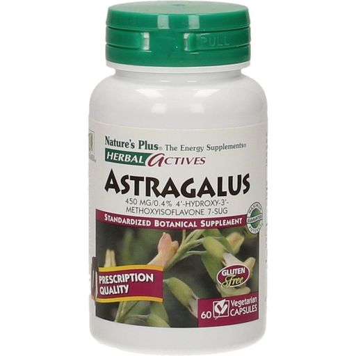 Herbal aktiv Astragalus - Tragant - 60 veg. kaps.
