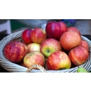 BioKing Vinagre Balsámico de Manzana Bio