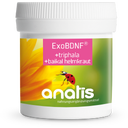 anatis Naturprodukte ExoBDNF® + Triphala + Zucchetto Baikal - 60 capsule