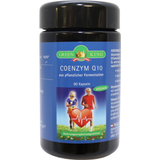 Green King Koenzym Q10