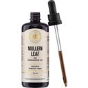 Bio Extrato de Verbasco 10:1 (Mullein Leaf), 100 ml