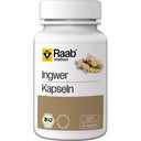 Bio zázvorové kapsle, 80 kapslí