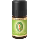 PRIMAVERA Wintergrün bio
