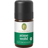 PRIMAVERA Atmewohl Duftmischung bio