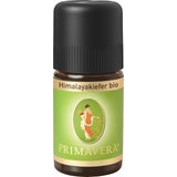 PRIMAVERA Himalayakiefer Bio