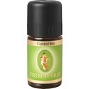 PRIMAVERA Cajepute bio - 5 ml