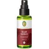 PRIMAVERA Kraft tanken Raumspray bio