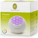 Aroma fan Flower - 1 Kom.