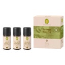 Conjunto Aromaterapia Sauna Frescura & Energia bio - 1 Conjunto