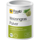 Raab Vitalfood Erba di Grano Bio in Polvere - 75 g