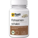 Raab Vitalfood Flohsamenschalen Bio