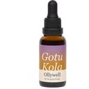 Ollywell Gotu Kola