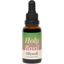 Ollywell Holy Basil