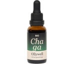 Ollywell Bio Chaga