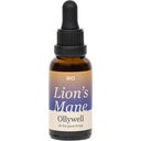 Ollywell Bio Lion's Mane