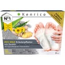 ZEO MAX Patchs à Base de Plantes et de Zéolite, 2 pièces