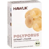Bio extrakt + prášok z huby Polyporus vo forme kapsúl