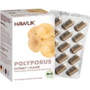 Hawlik Polyporus ekstrakt + proszek Bio - 120 Kapsułek