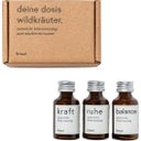 Strength, Calm & Balance - Oxymel Set, 45 ml