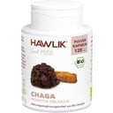 Hawlik Bio Chaga Pulver Kapseln - 120 Kapseln