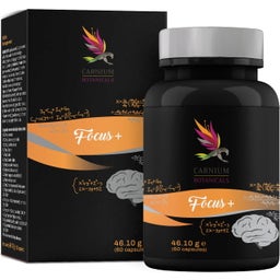 Carnium Botanicals Focus+ - 60 Kapseln