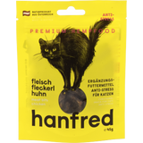 Hanfred Bocconcini di Carne - Per Gatti