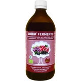 SOJALL Fermento Bio