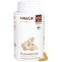 Hawlik Pleurotus Extrakt Ekologiska Kapslar - 240 Kapslar