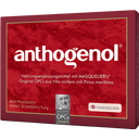 Original Masqueliers Anthogenol OPC kapsule - 30 kaps.