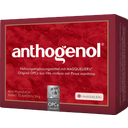 Original Masqueliers Anthogenol OPC - 75 kapselia