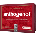 Original Masqueliers OPC Anthogenol - Gélules - 90 gélules