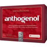 Original Masqueliers Anthogenol OPC
