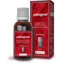 Original Masqueliers Anthogenol OPC Drops - 50 ml